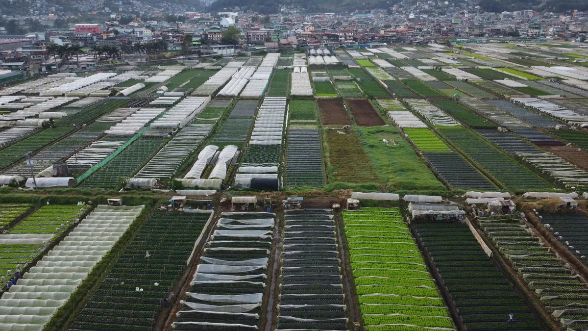Final Evaluation Consultant for Agri-Aqua Project, Philippines 2026 Final Evaluation Consultant for Agri-Aqua Project, Philippines 2026 - People in Need - deadline 17 Nov 2026
