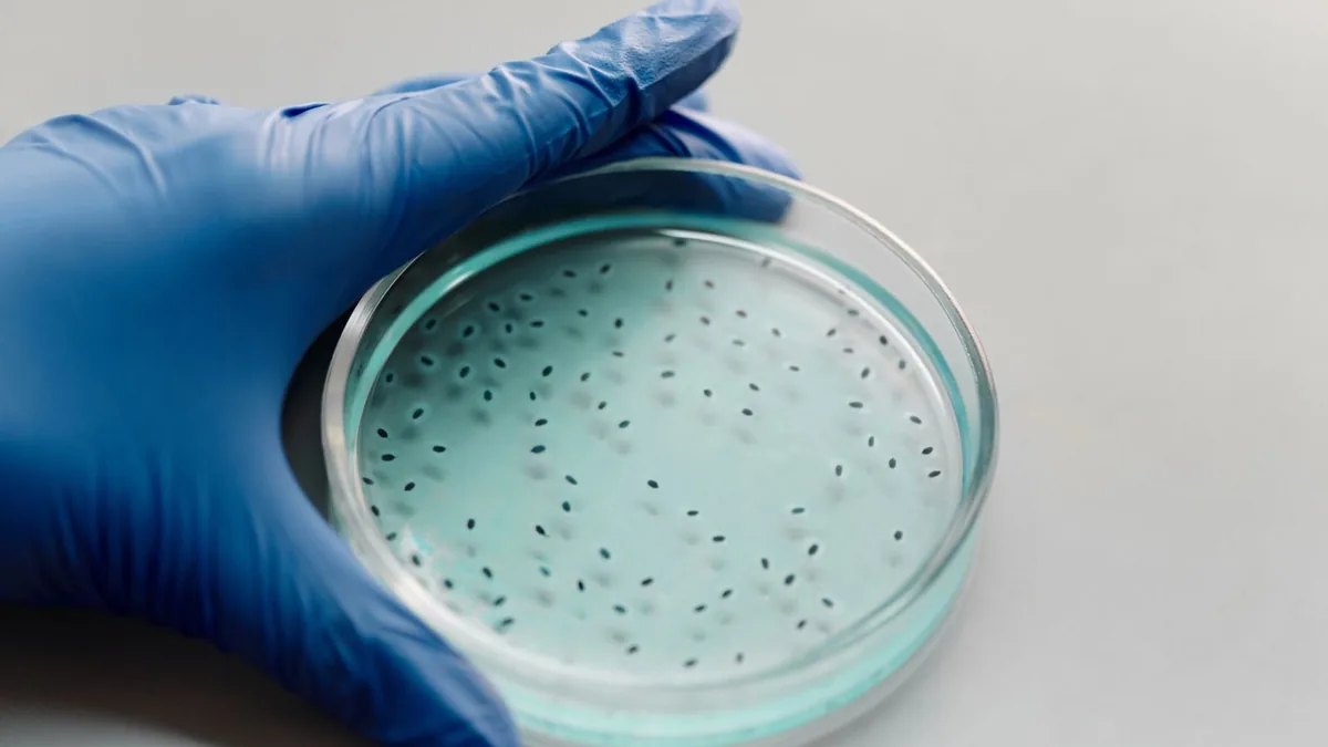 Postdoc in Molecular Biology at UNIFESP, Brazil 2026 Postdoc in Molecular Biology at UNIFESP, Brazil 2026 - FAPESP - São Paulo Research Foundation - deadline 31 Dec 2026