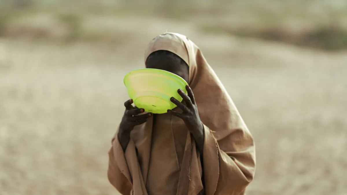 Responsable Relation Bailleurs H/F at ALIMA in Chad, 2024 - ALIMA - deadline 09 Nov 2026